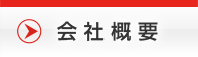 ЊTv